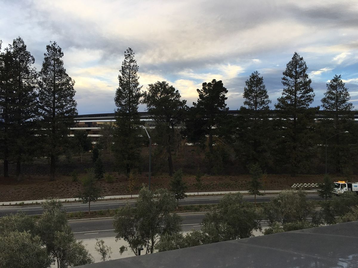 Apple Park in Cupertino
