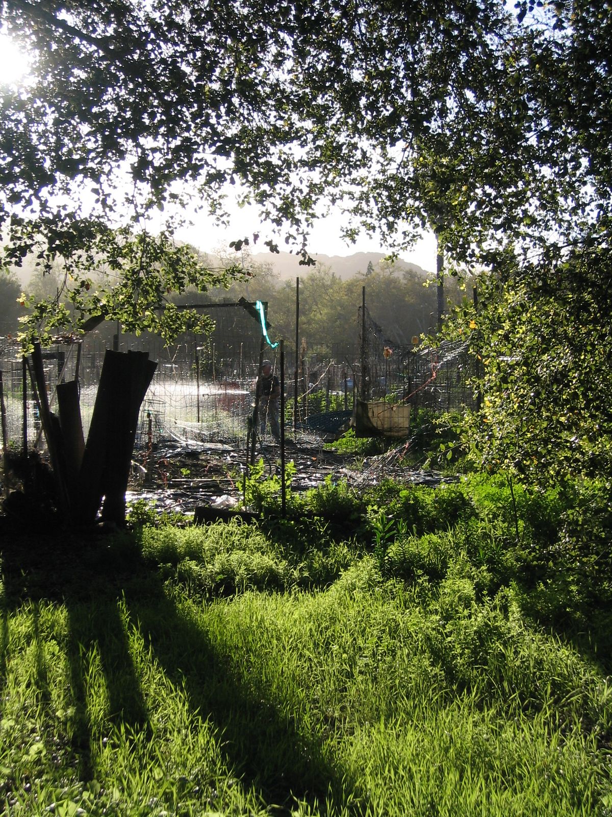 The community garden at McClellan Ranch