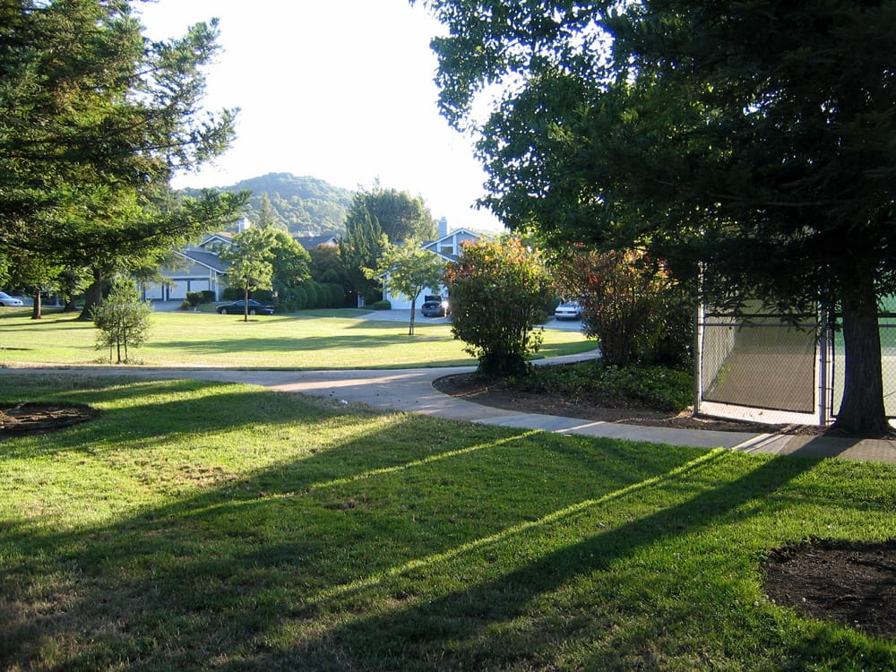 Lawns and trees in Monta Vista Park, with the hills beyond